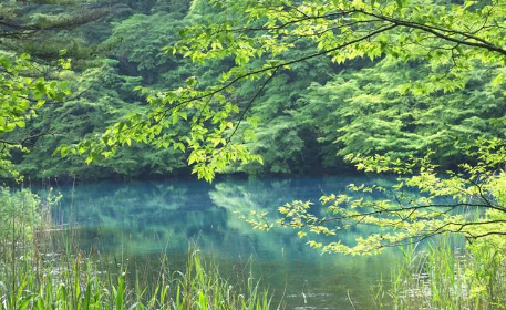 风景85.png 风景85.png