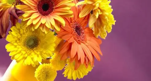 花15.png 花15.png