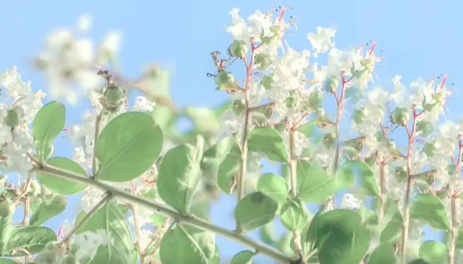 GOV{F40N70ZZ5`{E993Z{JD.png GOV{F40N70ZZ5`{E993Z{JD.png