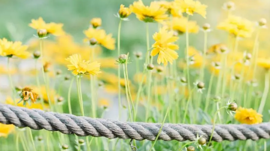 }4K_NC}%67~L5FSVLSE$S)J.png }4K_NC}%67~L5FSVLSE$S)J.png