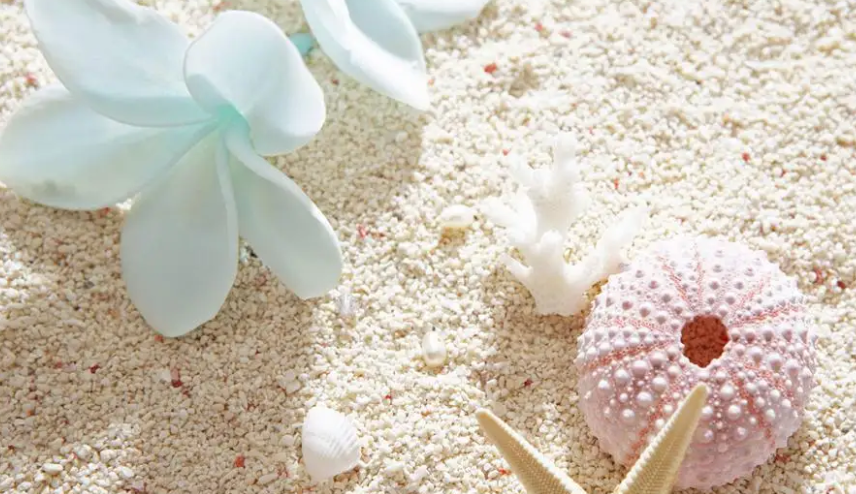 DI)4M~69ORYNPZB%9LJ8VHM.png DI)4M~69ORYNPZB%9LJ8VHM.png