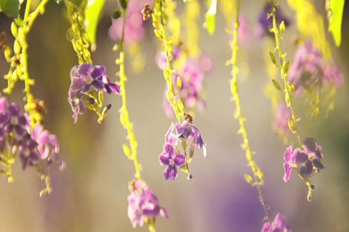 PHNQXM5YMEP5W9BX[9Q{U1D.png PHNQXM5YMEP5W9BX[9Q{U1D.png