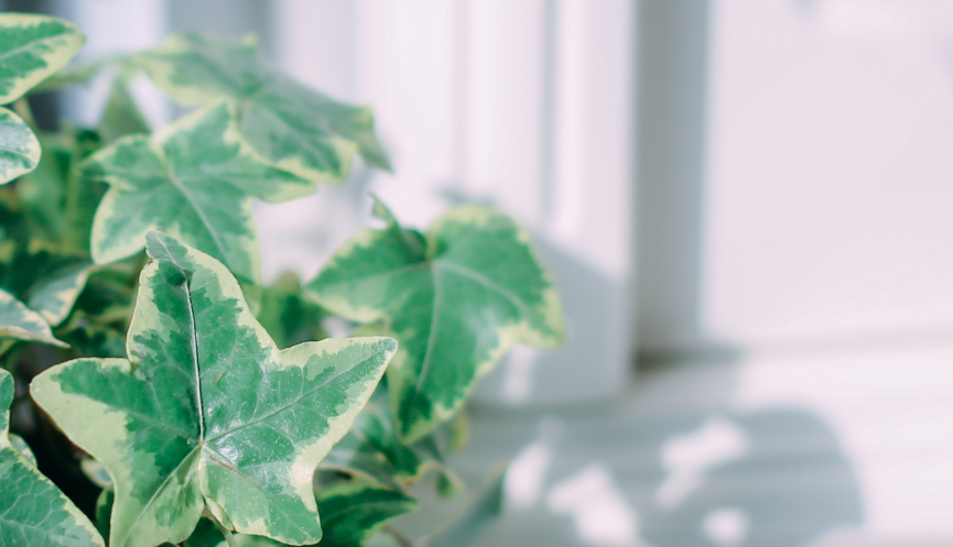 ($NQF2GVPI96D$CPFX`{S1C.png ($NQF2GVPI96D$CPFX`{S1C.png