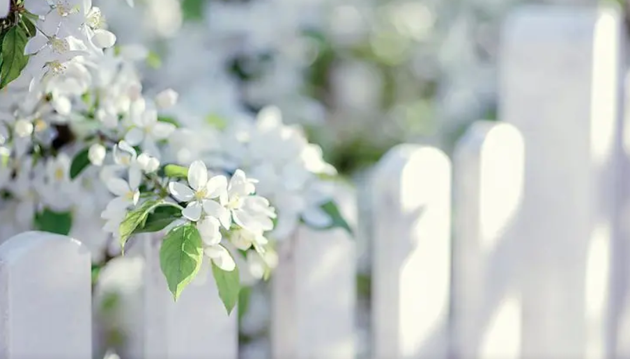 2C8VS`4VA76ULQT_BQ`~@PX.png 2C8VS`4VA76ULQT_BQ`~@PX.png