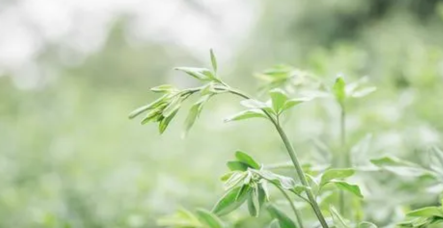 CQZ}FK$5XM{)(ZW28552U8W.png CQZ}FK$5XM{)(ZW28552U8W.png