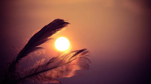 149.png 奇门遁甲反噬后果,什么样的人适合学奇门遁甲