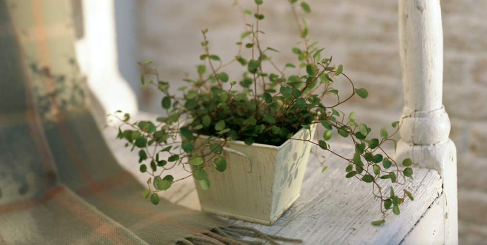 HG{HU1MV7}A%RRPR9P38K4N.png HG{HU1MV7}A%RRPR9P38K4N.png