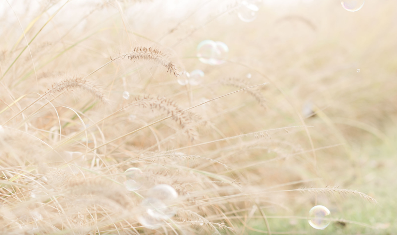 7PNGQ)V[VVEL(RTK815}W(1.png 7PNGQ)V[VVEL(RTK815}W(1.png