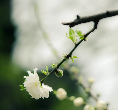 VE8}[U3KY64Q$U%C($)T)~S.png VE8}[U3KY64Q$U%C($)T)~S.png