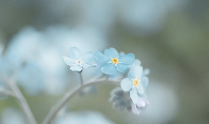 FBBJG}EH50I{W4$}8[GYN7B.png FBBJG}EH50I{W4$}8[GYN7B.png