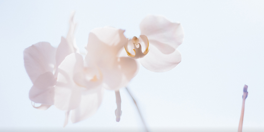 $1MIGGL}{F~T)[[X{UF~7_Y.png $1MIGGL}{F~T)[[X{UF~7_Y.png