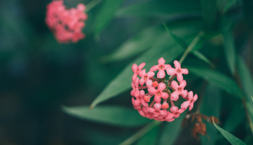 Y3}$VCFJ([KQ8K6TC)CTB2I.png Y3}$VCFJ([KQ8K6TC)CTB2I.png