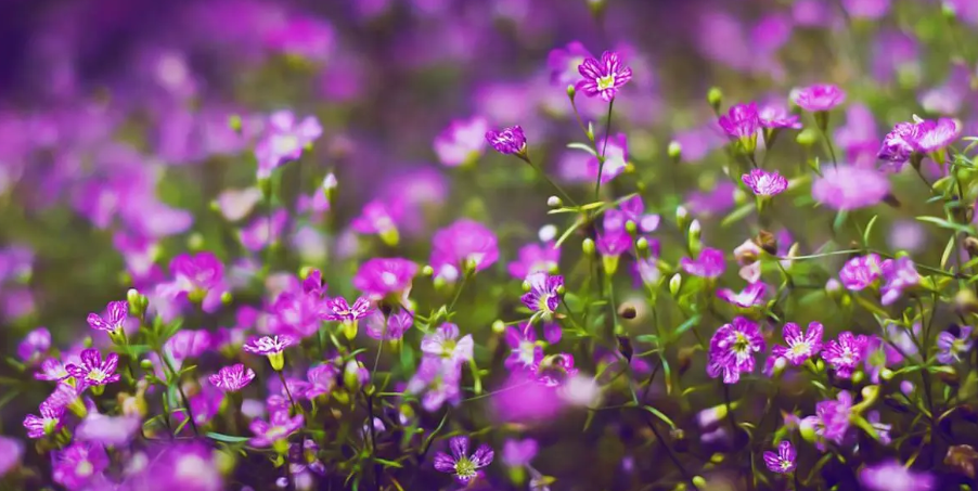 (734$@ANY$1~W27_D)G0A_W.png (734$@ANY$1~W27_D)G0A_W.png