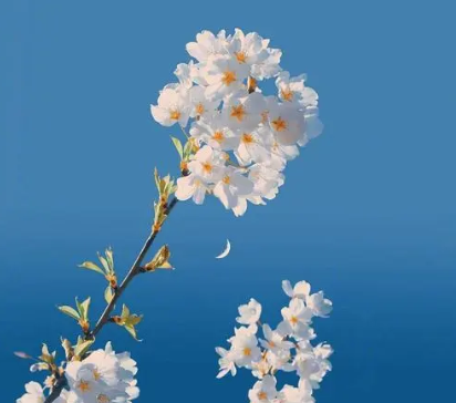 E$K2A(T[FDB36072I`YJ@_N.png E$K2A(T[FDB36072I`YJ@_N.png