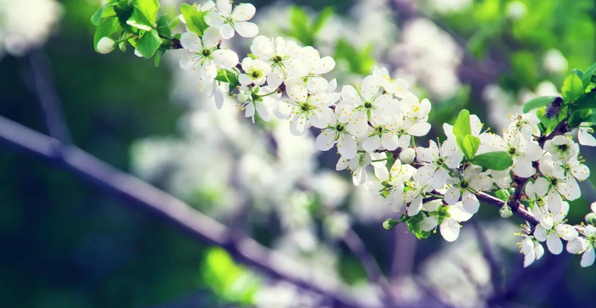 2`_5KT[73ZSV~TTJYO4S4LM.png 2`_5KT[73ZSV~TTJYO4S4LM.png