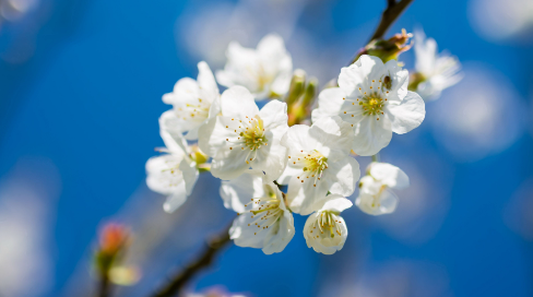165.png 2023年5月1日五行穿衣指南,每日五行穿衣搭配指南