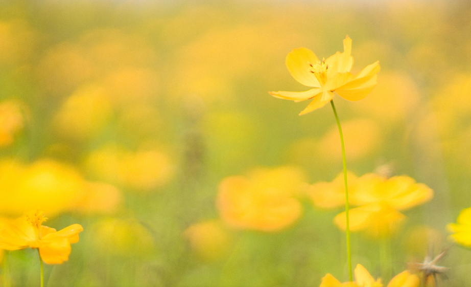 {W{PF6CU~0AE)JDQAYOU9ZR.png {W{PF6CU~0AE)JDQAYOU9ZR.png