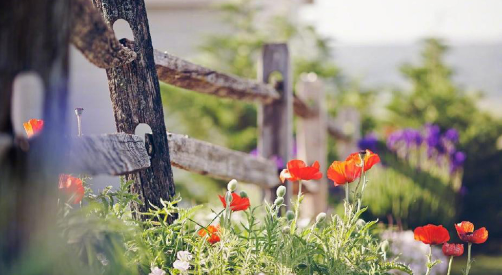 8Z2P9Z1@GA9X1[1JFEMO`_1.png 8Z2P9Z1@GA9X1[1JFEMO`_1.png