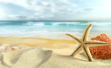 162.png 2023年5月6日五行穿衣指南,今日穿衣颜色五行搭配