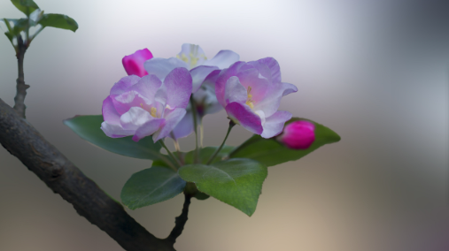 161.png 2023年5月13日五行穿衣指南,今日五行穿衣旺运