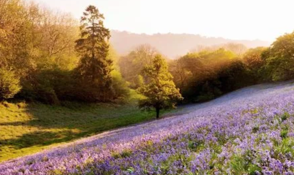 )OGE3~8@A3**LS{09X1G57W.png )OGE3~8@A3**LS{09X1G57W.png