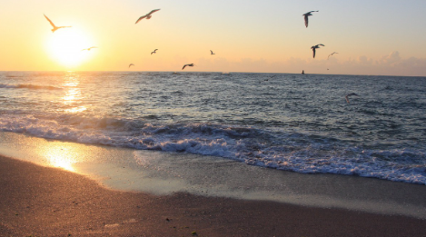 大海3.png 大海3.png