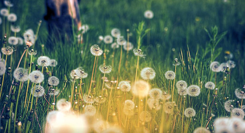 2~$GZK_JK0S[`J7DTAW~WZR.png 2~$GZK_JK0S[`J7DTAW~WZR.png