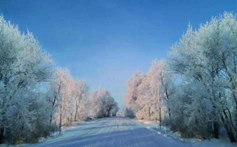 203.png 超级爱老婆的男人面相,有福之人面相的特征