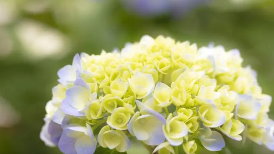 9~Y3_8WP$OCJ)`YDL0`{137.png 9~Y3_8WP$OCJ)`YDL0`{137.png