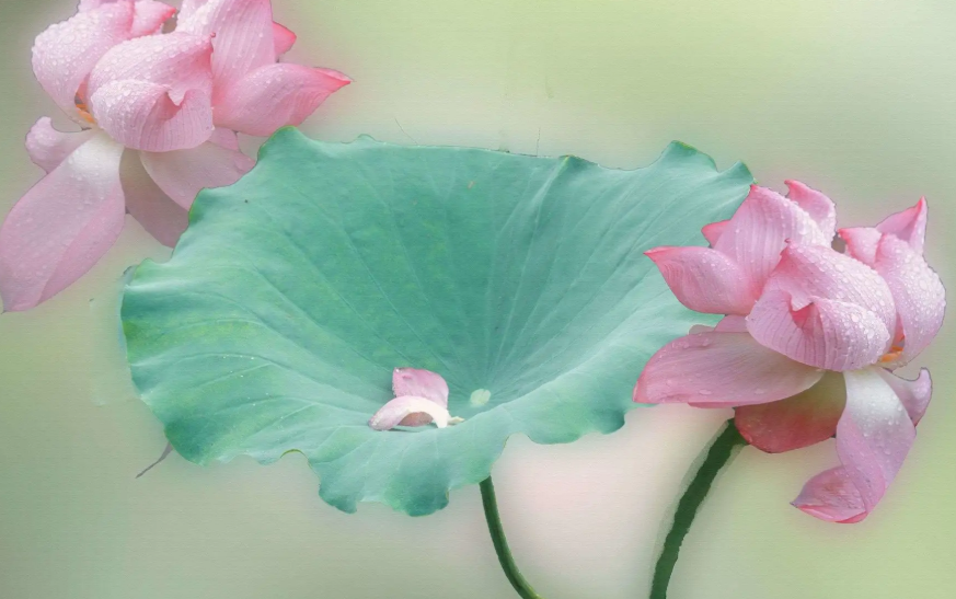 1((`TLXKY_{Y(2NOX}PHK`S.png 1((`TLXKY_{Y(2NOX}PHK`S.png