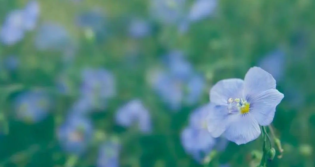 @AMBC)FT4JW%N[J}09)Z~86.png @AMBC)FT4JW%N[J}09)Z~86.png