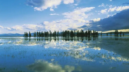 风景92.png 听说眉毛受过伤的人命特别好,双眉毛好不好