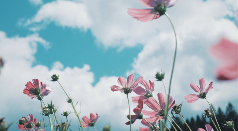 M%W)KW94JD9BRR6D{LNTA3H.png M%W)KW94JD9BRR6D{LNTA3H.png