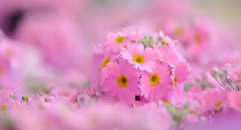 K5SRXBEZ`SQ)UABW97CFVHF.png K5SRXBEZ`SQ)UABW97CFVHF.png