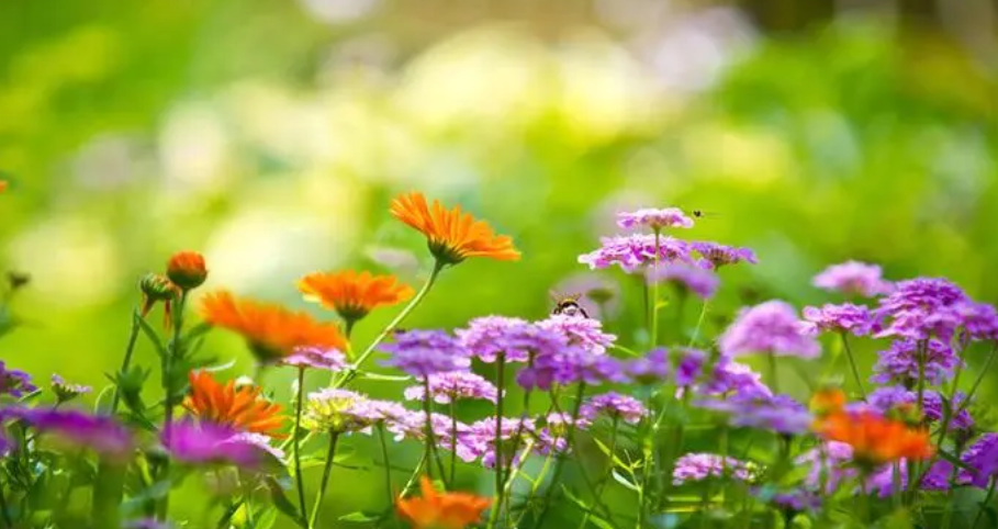 @`_CE8`EYI)W0NB[AN}C`SA.png @`_CE8`EYI)W0NB[AN}C`SA.png