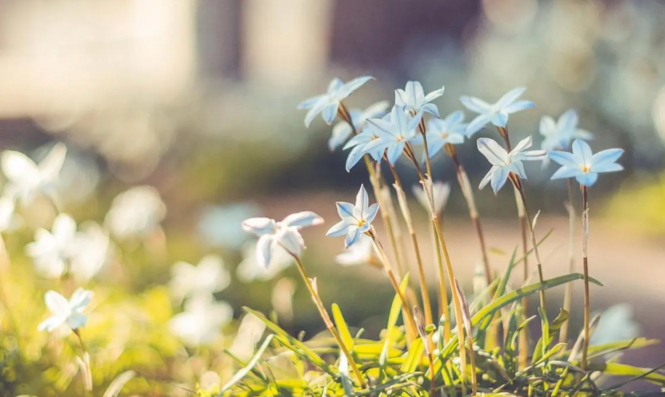 TY{)@L~(BY64L_AWZ9IDBT1.png TY{)@L~(BY64L_AWZ9IDBT1.png