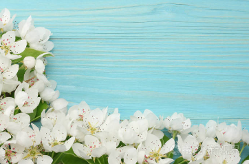 花12.png 2023年6月2日五行穿衣指南,2023年每日五行穿衣颜色指南