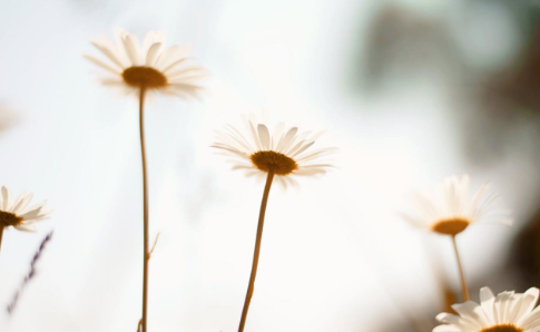 135.png 2023年6月20日五行穿衣指南,每日穿衣五行颜色口诀