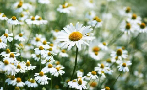 115.png 2023年6月23日五行穿衣指南,2023年每日五行穿衣搭配