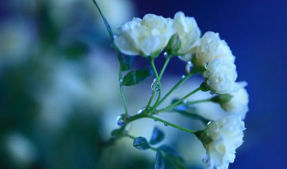 }ZB_@BQK4TQD~I`H`N$E8Y3.png }ZB_@BQK4TQD~I`H`N$E8Y3.png