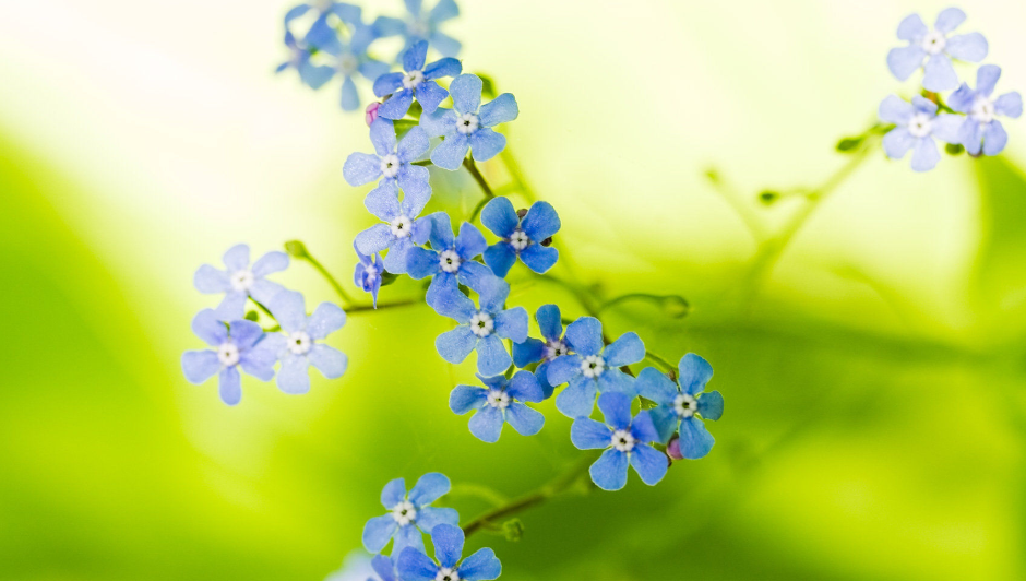 `$VZT_A5SL82XO9OPVY2S$L.png `$VZT_A5SL82XO9OPVY2S$L.png