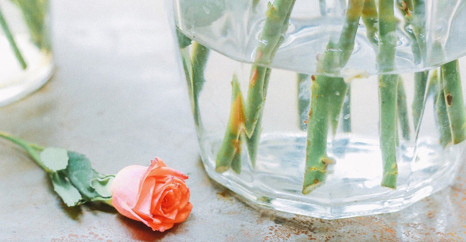 L4ZEZT3SFGUT_8U{FV9X(CA.png L4ZEZT3SFGUT_8U{FV9X(CA.png