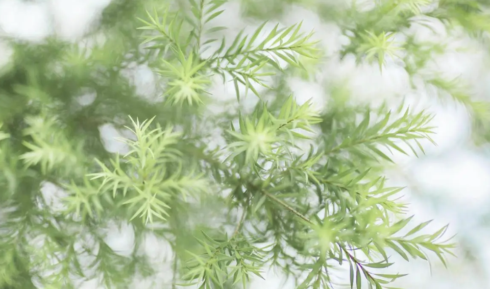 OB893[}C8$5LZG[KZ1RT`IO.png 2023年5月24日搬家入宅黄道吉日 2023年5月24日搬家入宅好吗