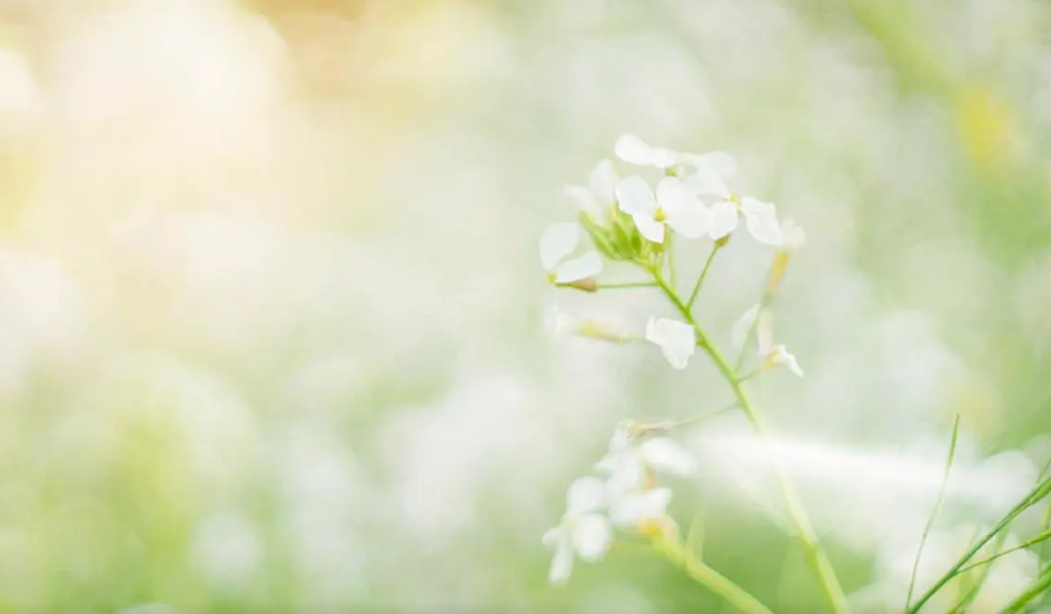 `56F($`_$XF@`XQQU2FQES8.png `56F($`_$XF@`XQQU2FQES8.png