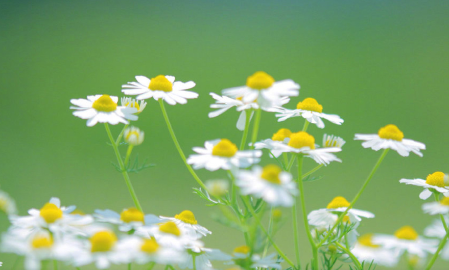 8YY34SR5H9U$TI[AWKBYC3I.png 8YY34SR5H9U$TI[AWKBYC3I.png