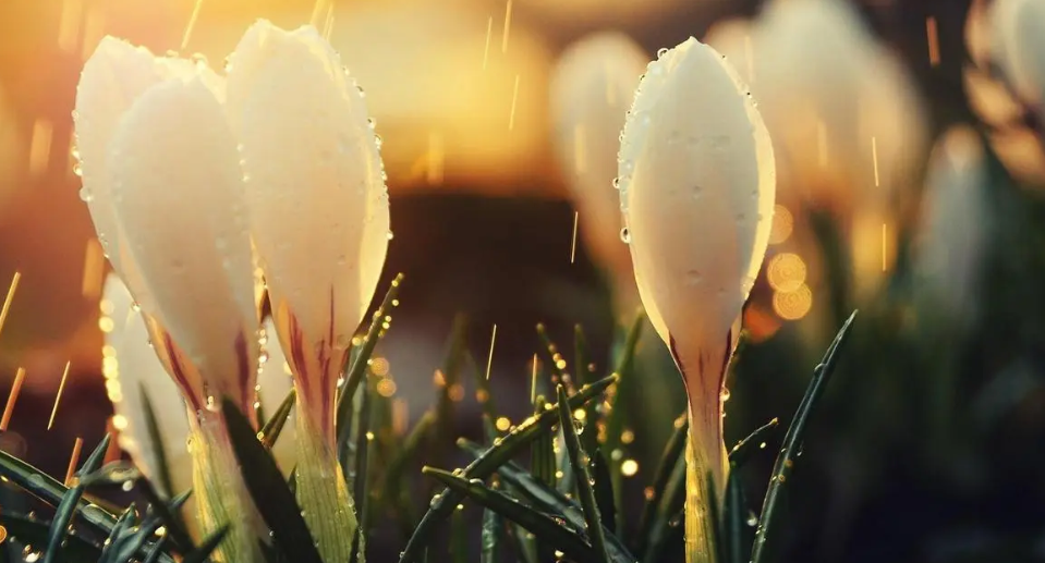 5H8A@PM5ZU7UN1U4AMTI$FE.png 5H8A@PM5ZU7UN1U4AMTI$FE.png