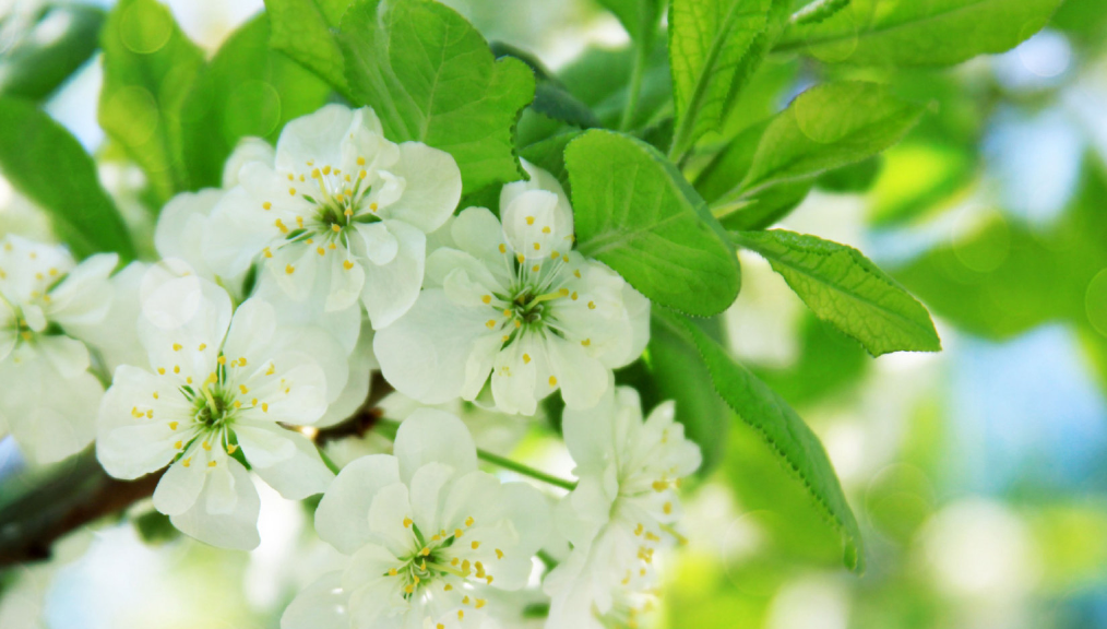 V5XX0VZ_D%}}CWU4VOUP{UK.png V5XX0VZ_D%}}CWU4VOUP{UK.png