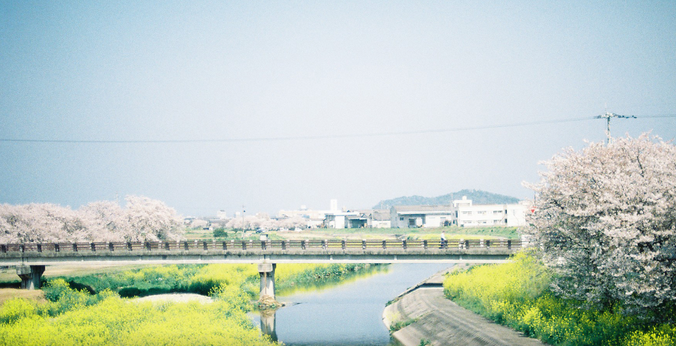 J)V[FG`ROY2BAO2XW74K_MG.png J)V[FG`ROY2BAO2XW74K_MG.png