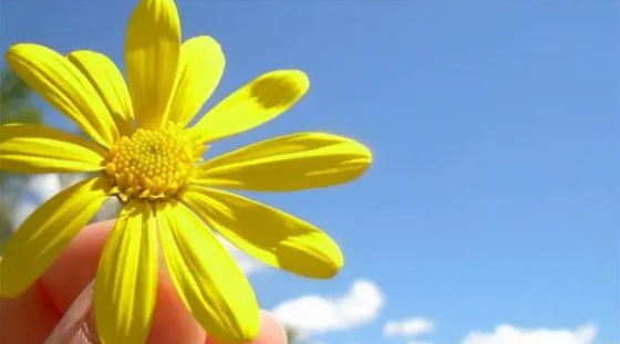 116.png 116.png