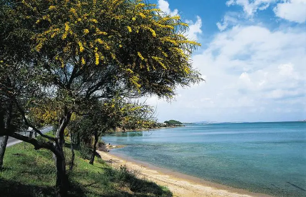 风景37.png 风景37.png